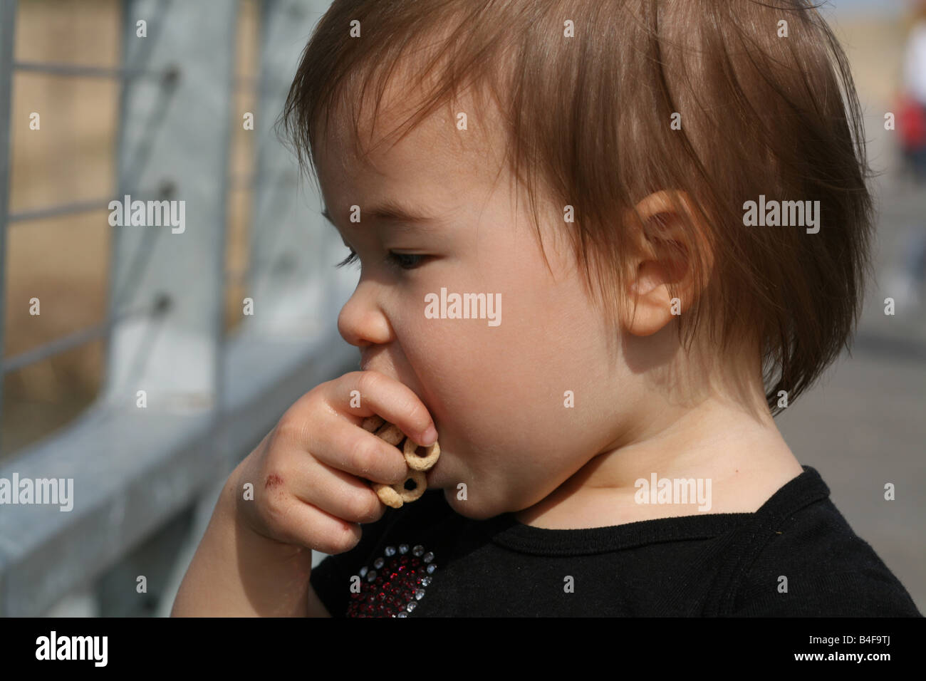 Eine 14 Monate Altes Kleinkind Madchen Isst Eine Handvoll Cheerios Cerealien Stockfotografie Alamy