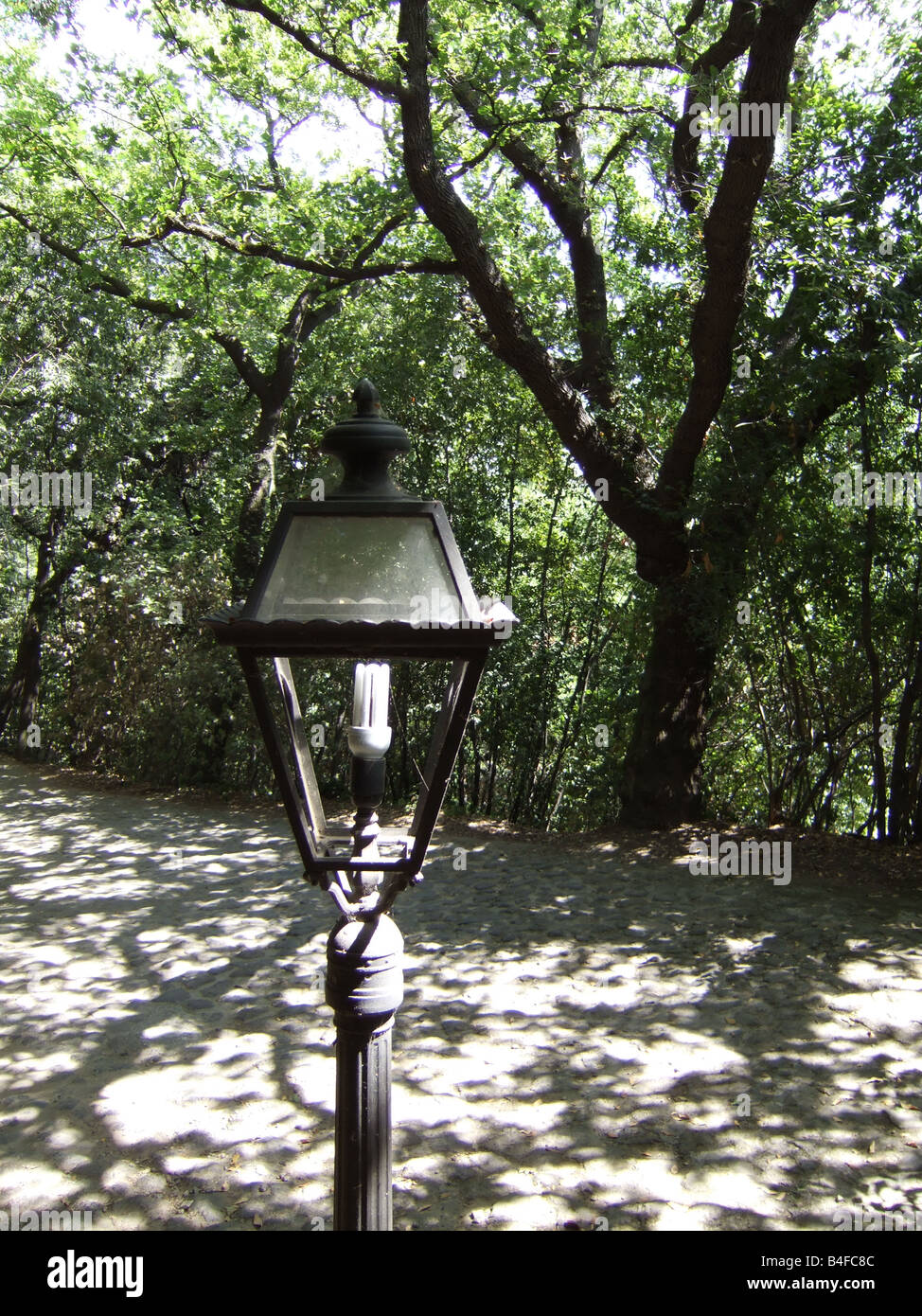Straßenbeleuchtung Lampe im Wald Wald im Land Stockfotografie - Alamy