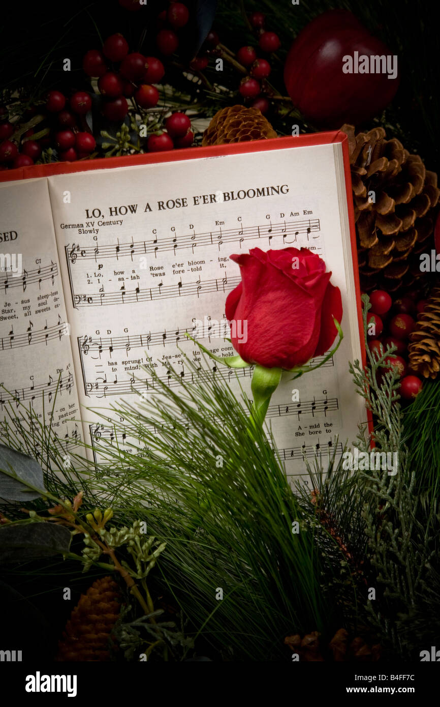 Blühende Rose auf offenen Christmas Carol Buch Stockfoto