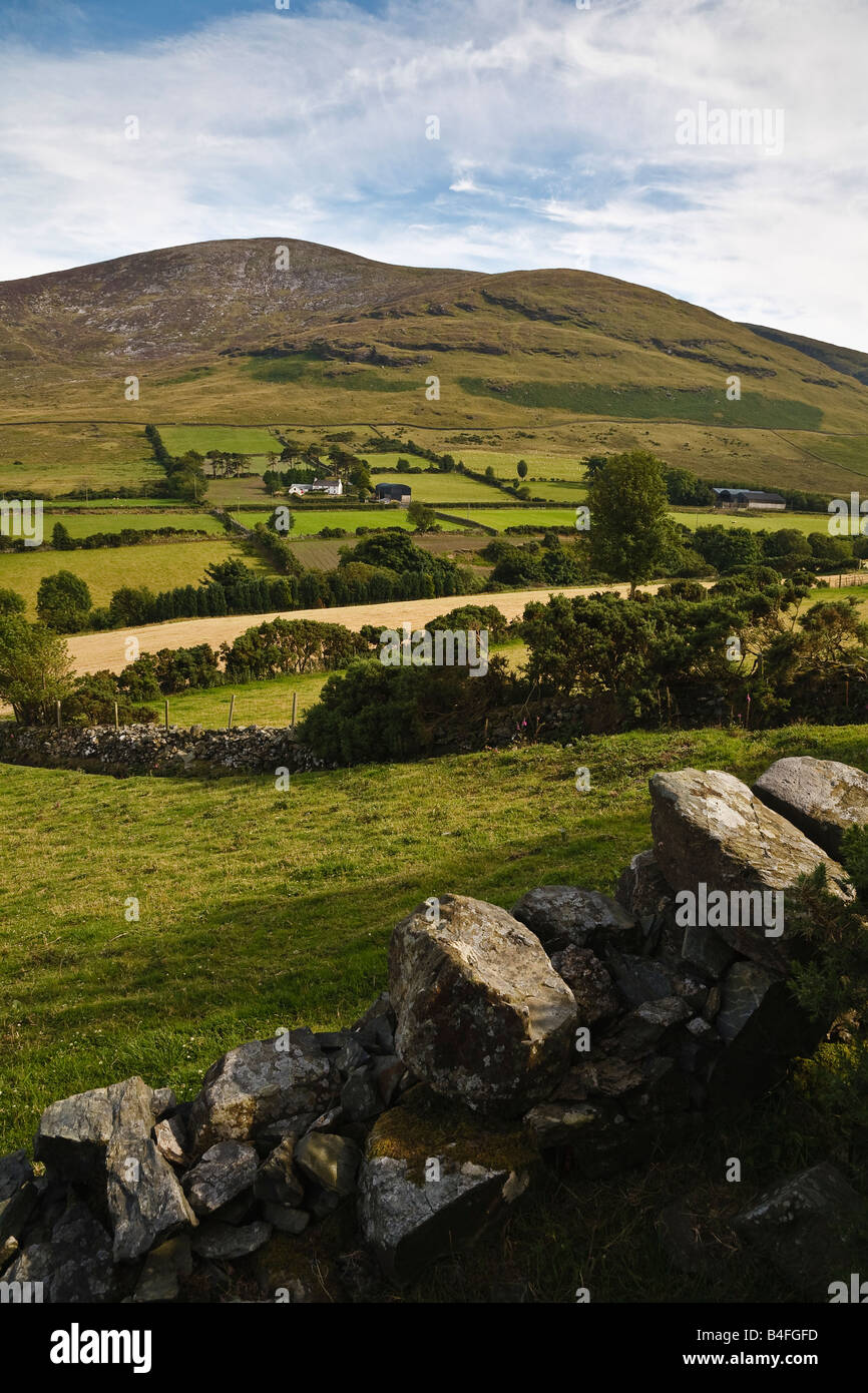 Typisch Ländliches Motiv und abgelegenen Farm in den Mourne Mountains nahe Bryansford, County Down, Nordirland Stockfoto
