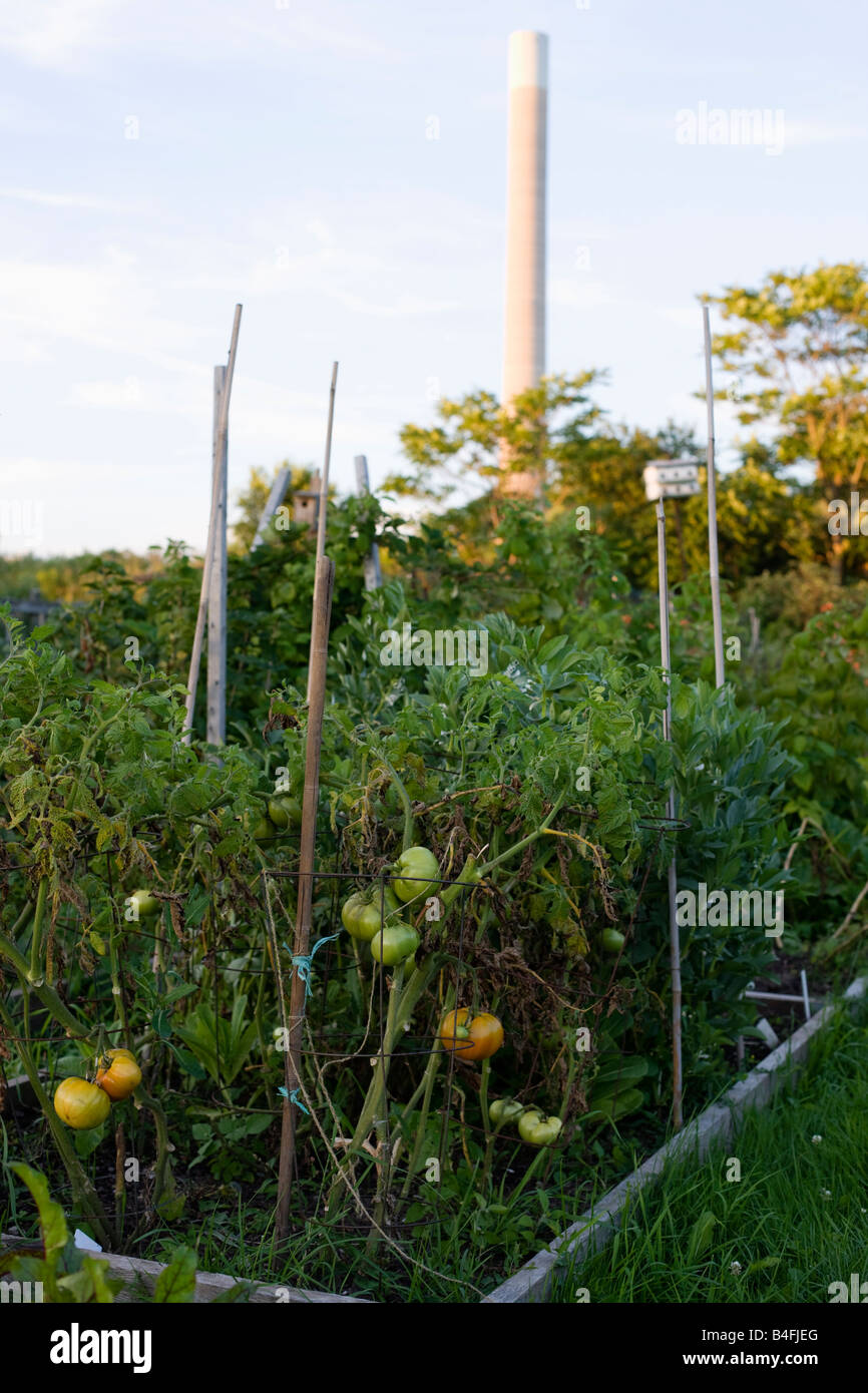 Städtische Grünanlage mit Wasser Behandlung Anlage Rauch Stack im Hintergrund in Toronto, Ontario, Kanada Stockfoto