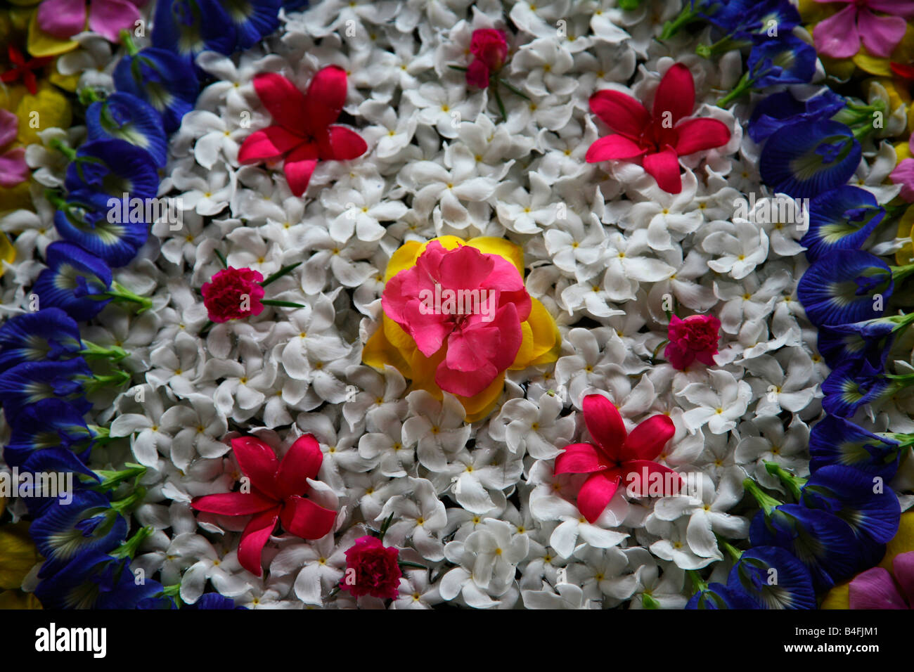 Florales Design (schwimmenden Blumen) von Indien Stockfoto