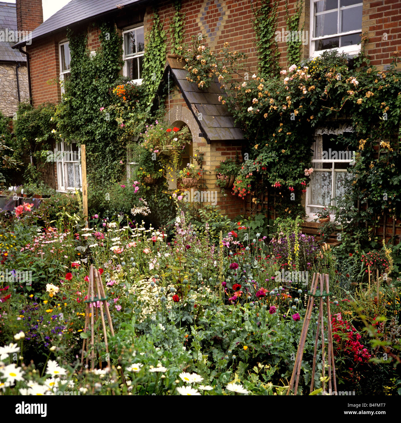 UK England Isle of Wight Brightstone Bauerngarten Stockfoto UK England Isle of Wight Brightstone Bauerngarten Stockfoto