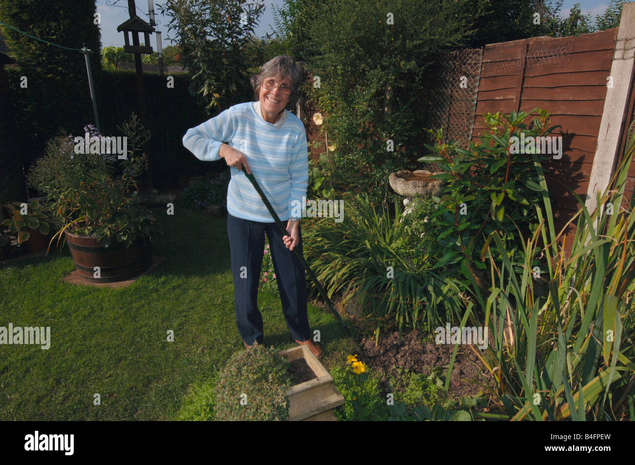 Eine Frau In den Siebzigern hacken ihr Garten Stockfoto