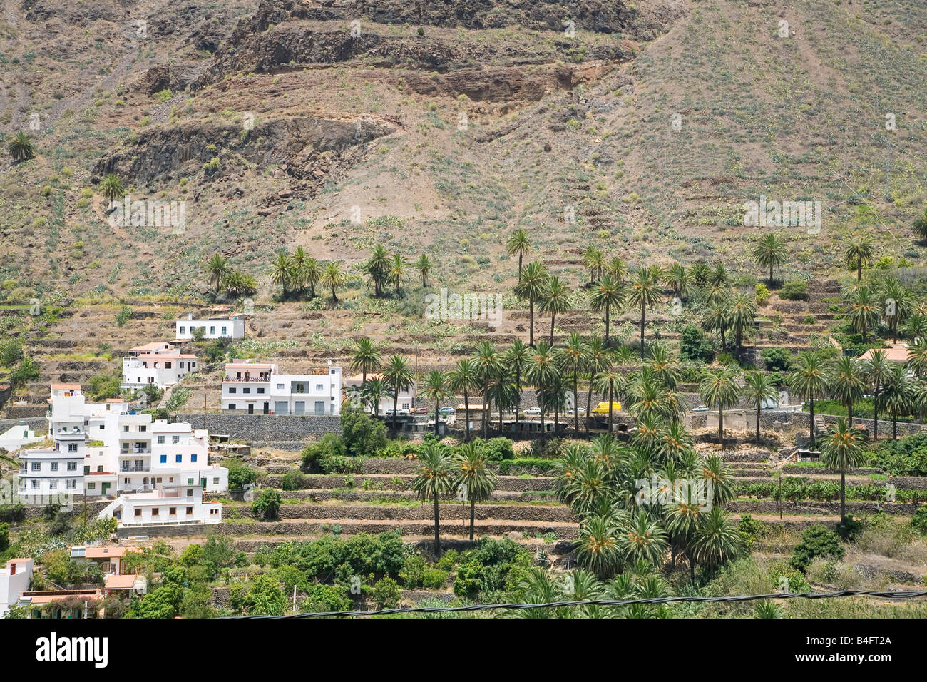 Terrassen von Palmen auf der Insel La Gomera La Gomera befindet sich ganz in der Nähe von Teneriffa und ist eine der Kanarischen Inseln Stockfoto