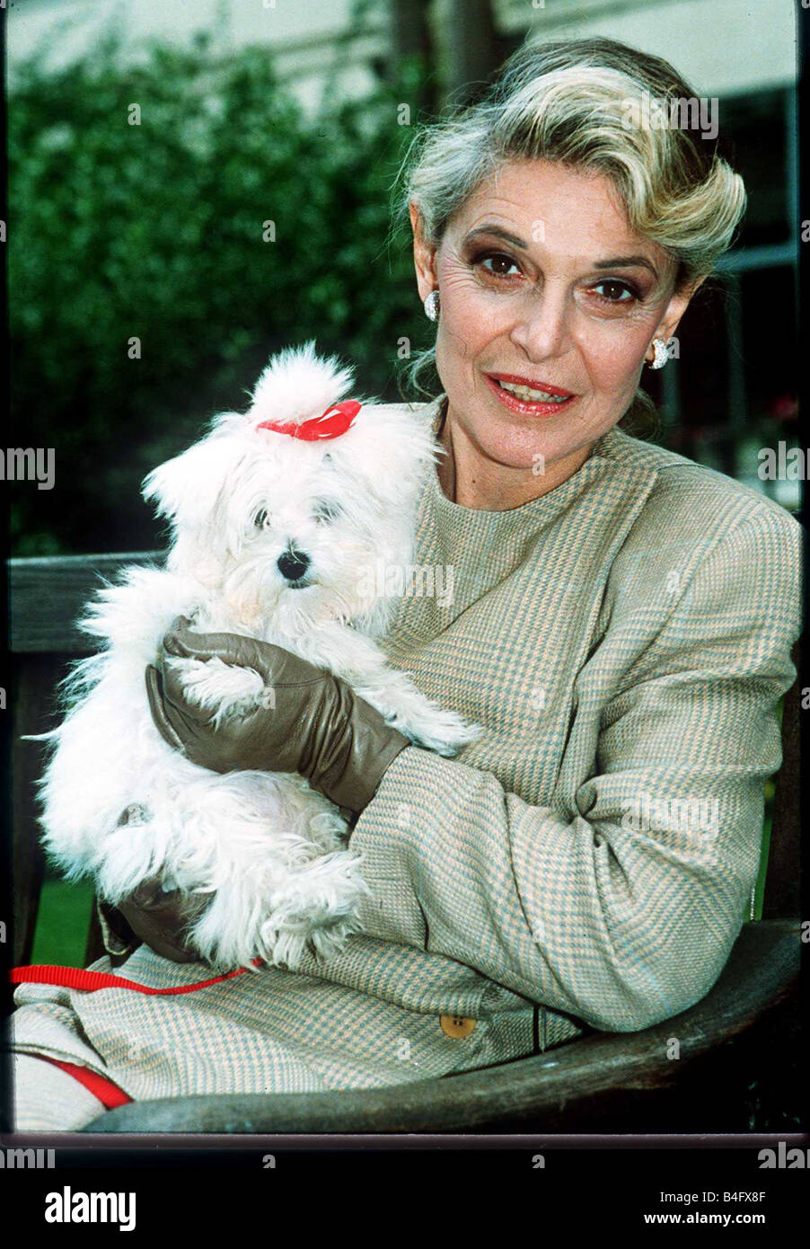 Anne Bancroft Schauspielerin mit Hund Cherry Dbase Msi Mirrorpix Stockfoto