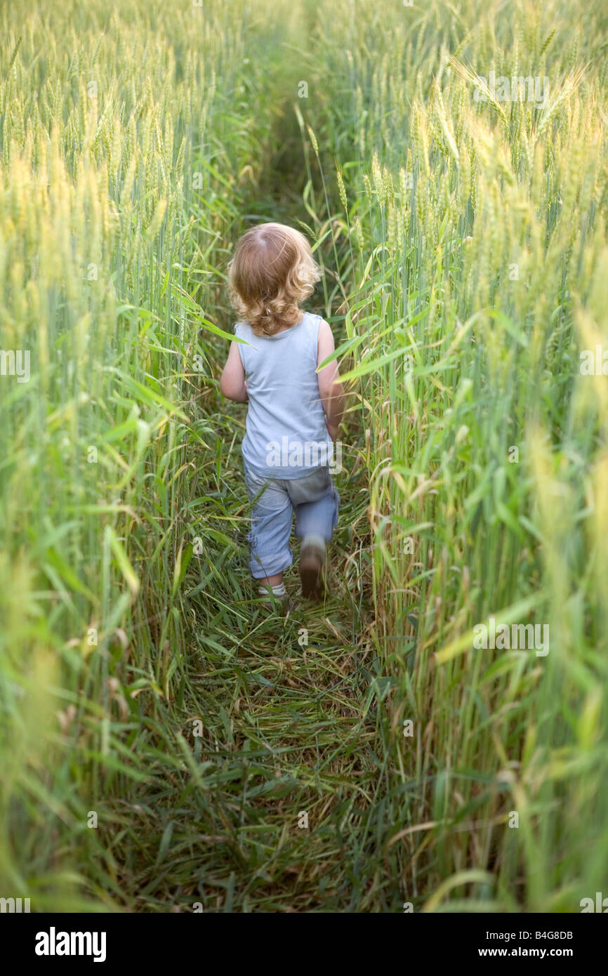 Ein kleiner Junge, ein Spaziergang durch ein Maisfeld Stockfoto