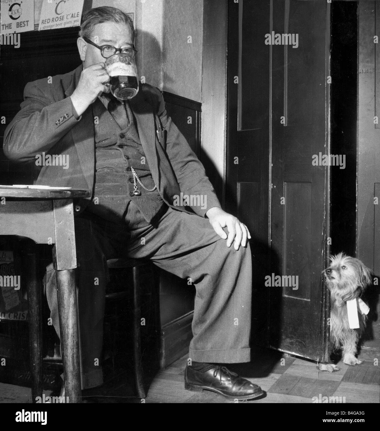 Menschen trinken Bier in seiner Kneipe wurde von seinem Haustier Hund verfolgt, der seinem Besitzer mit dem wissenden Blick Juni 1955 anschaut, auf Stockfoto