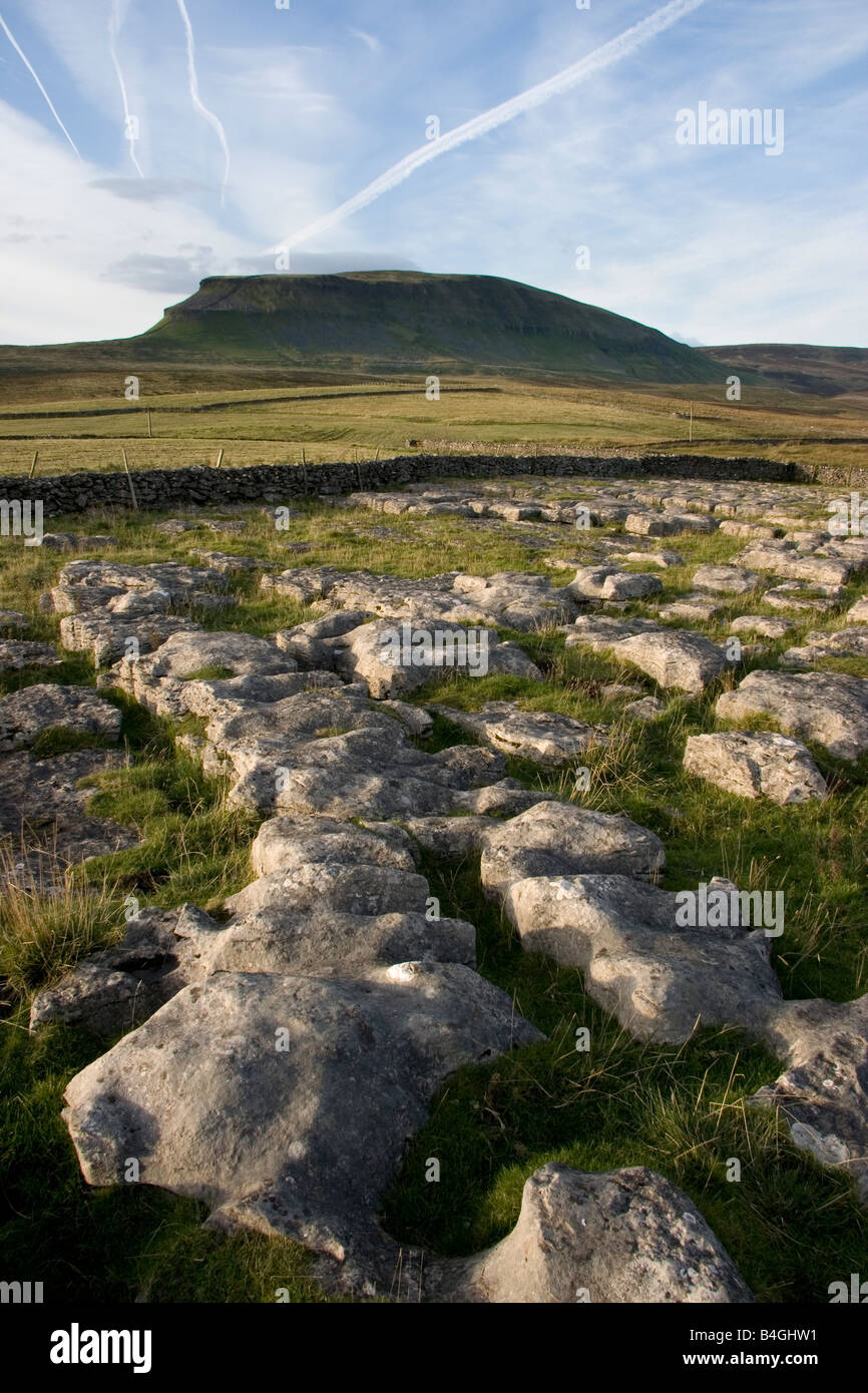 Kalkstein Pflaster an Pen-y-Gent (einer der drei Zinnen), ein Berg in den Yorkshire Dales National Park Stockfoto