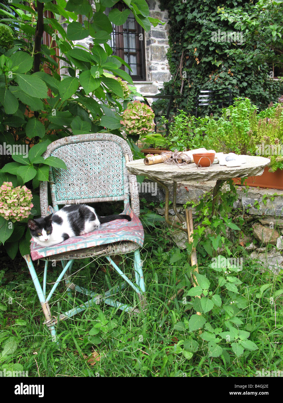 Griechenland. Die Halbinsel Pilion. Eine rustikale Garten-Szene im Dorf Damouchari. Stockfoto
