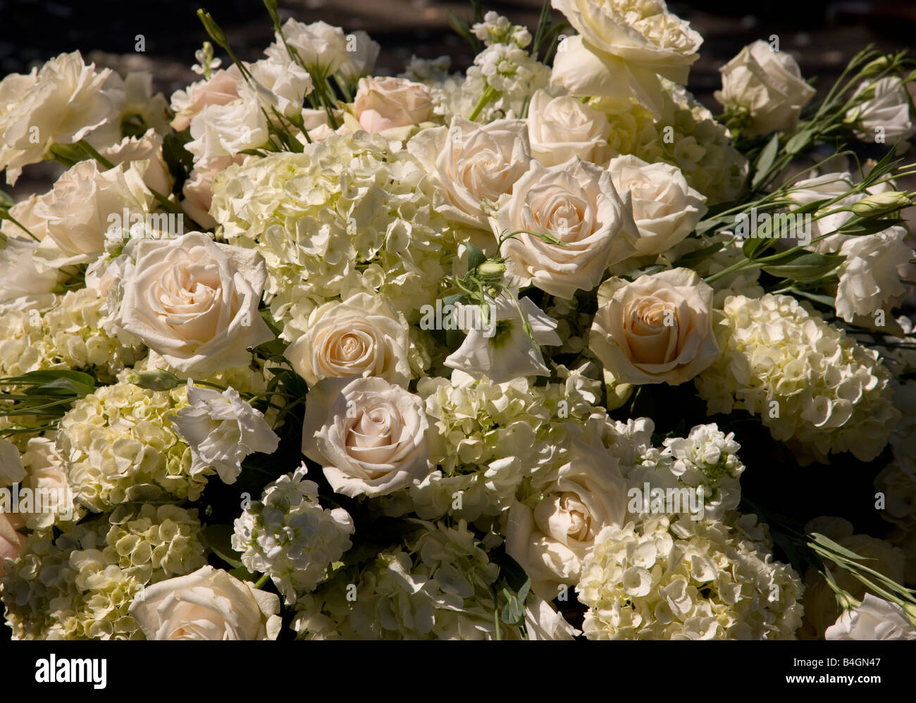 Leichte rosa Rosen und weißen Hortensien ruhen in Marmor nach bestem Brookgreen Gardens in Murrells Inlet, South Carolina, USA. Stockfoto