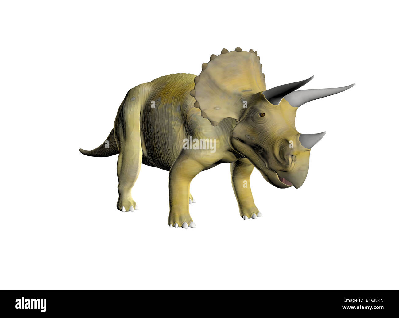 Triceratops eine alte Jura ausgestorbenen Reptilien Stockfoto
