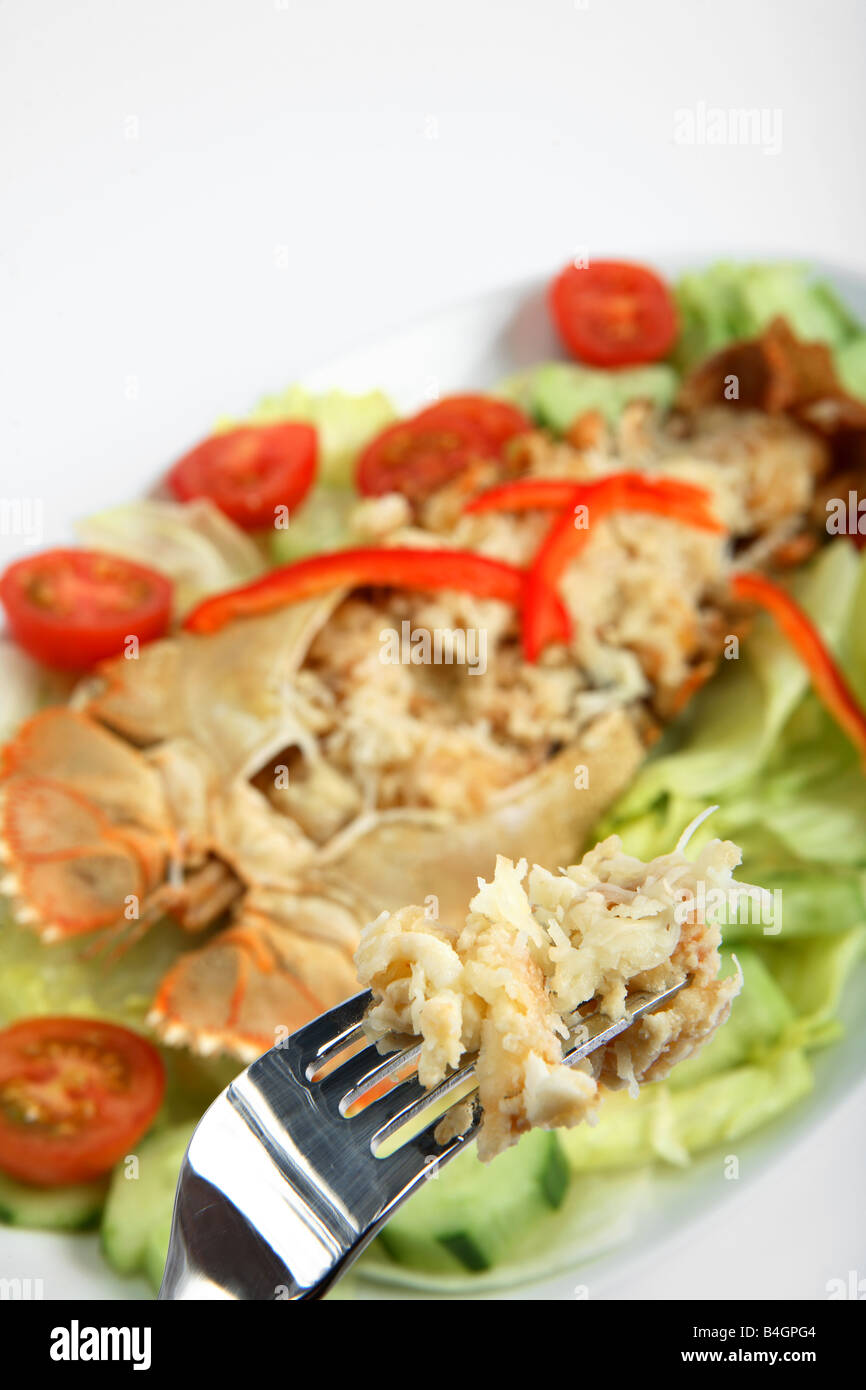 Fleisch von Hummer Thermidor auf einer Gabel mit der Platte mit Meeresfrüchten und Salat im Hintergrund unscharf Stockfoto
