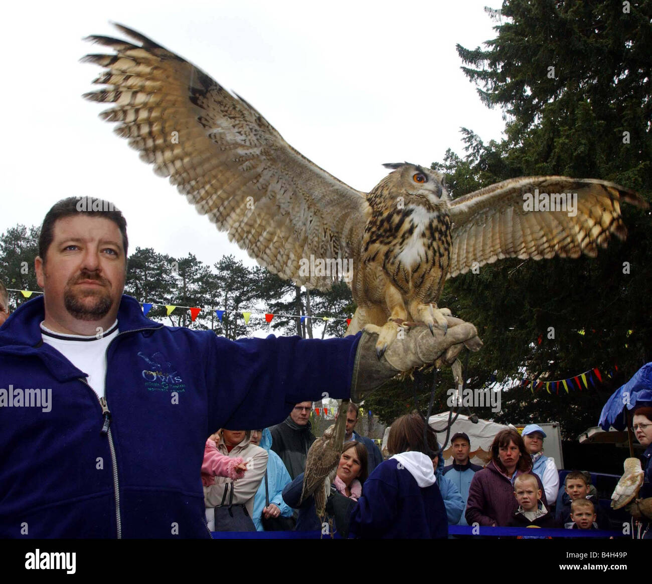 Ostern Aktivitäten im Schloss Park Bangor April 2003 Mike Gibb von der Welt der Eulen zeigt seine Greifvögel als Teil der Oster-Aktivitäten im Schloss-Park-Bangor Stockfoto