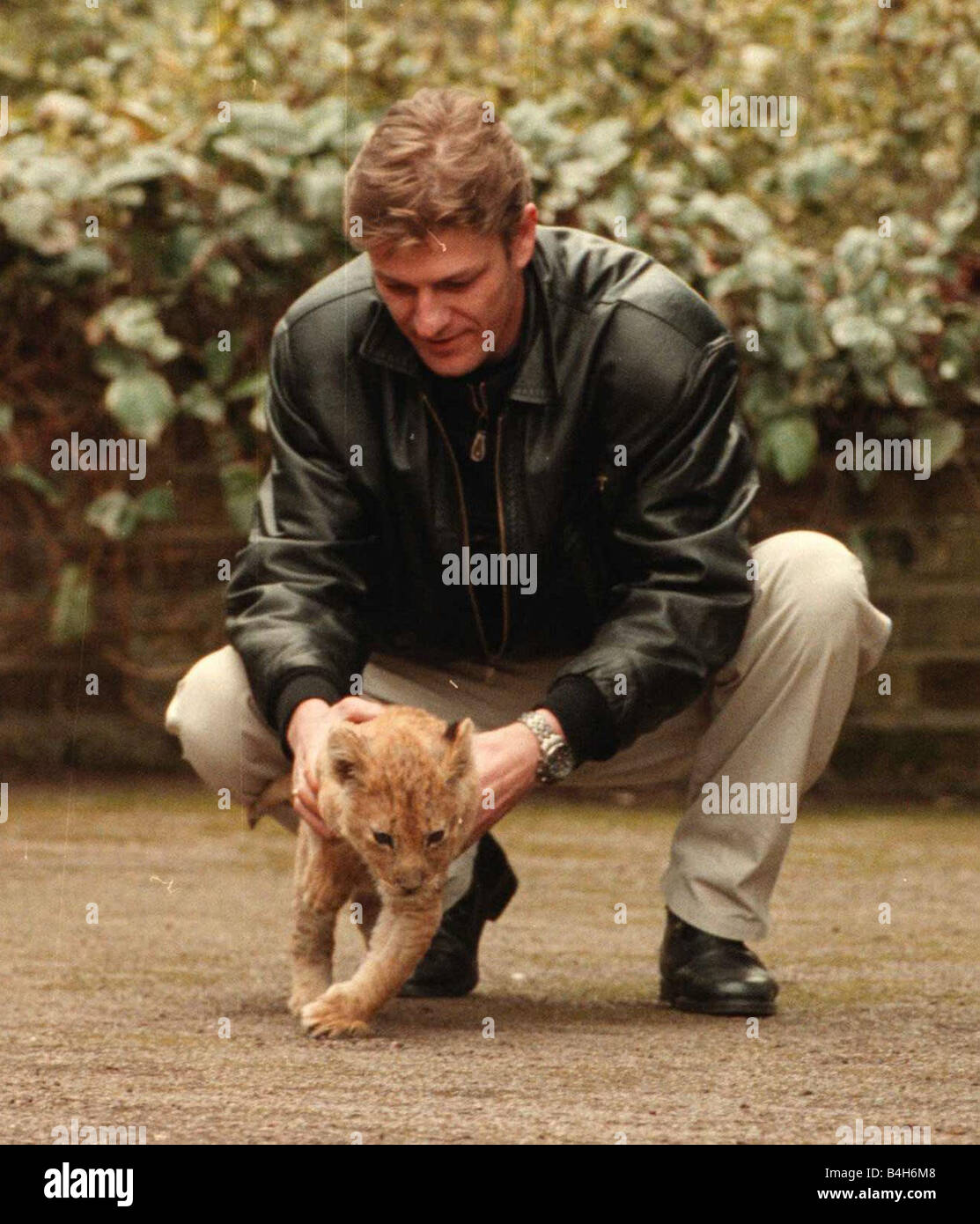 Sean Bean Schauspieler in seinem Totterige Haus in Shillingford hält ein Löwenjunges Stockfoto