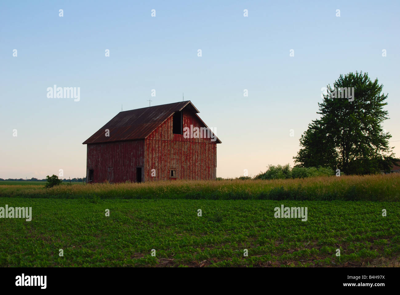 ein - hundert und zwanzig Jahre alte Scheune auf einer amerikanischen Farm des Mittelwestens Stockfoto