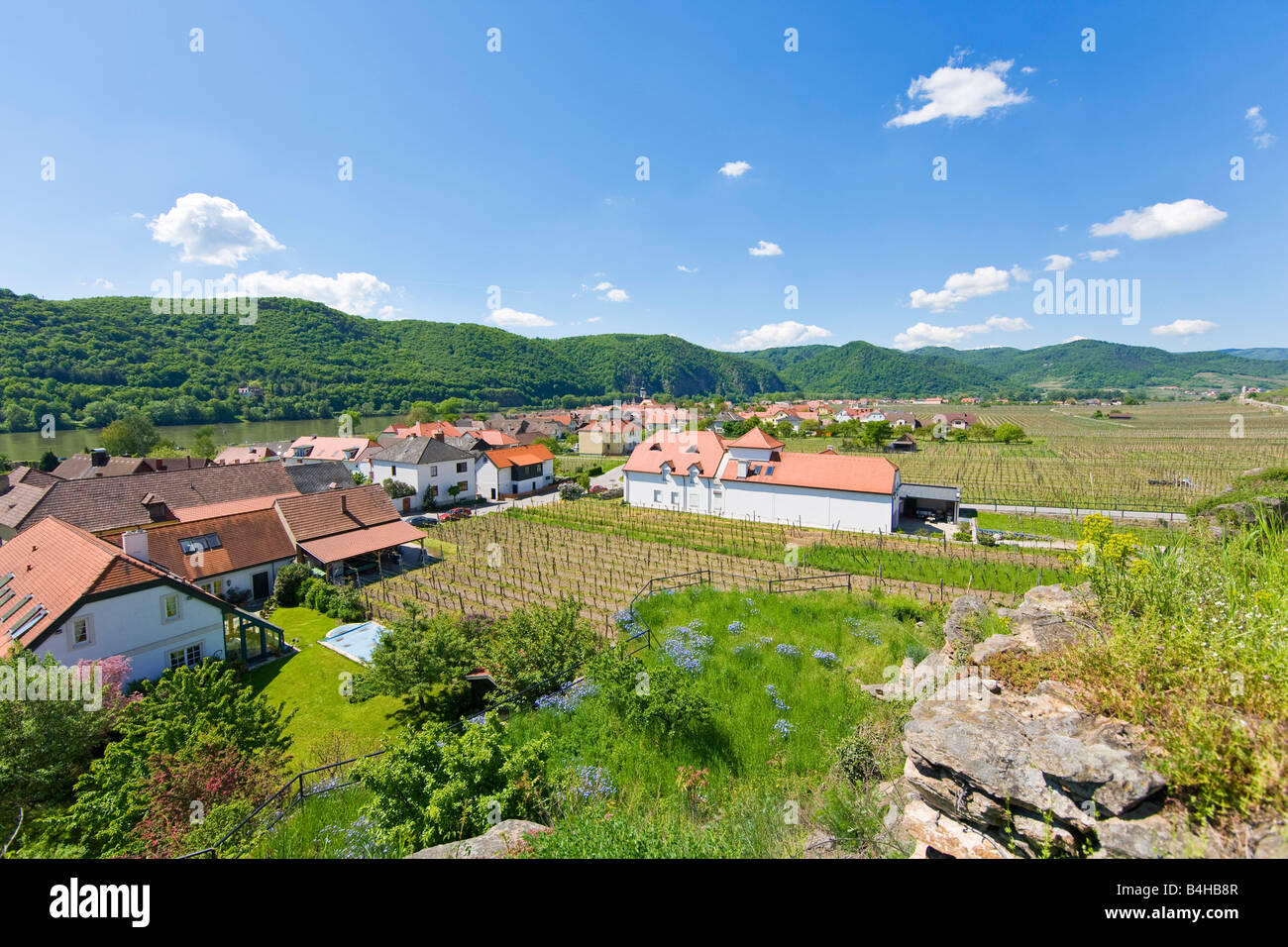 Häuser im Dorf, Unterloiben, Oberloiben, Wachau, Niederösterreich, Donau, Österreich Stockfoto