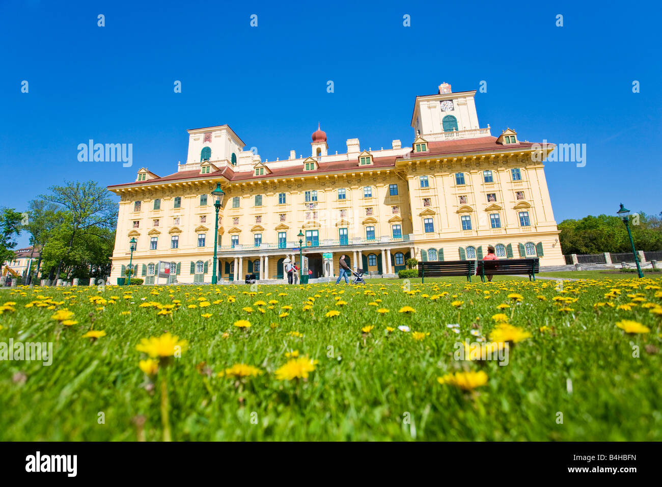 Blumen blühen vor Schloss Schloss Esterhazy Eisenstadt Burgenland Österreich Stockfoto