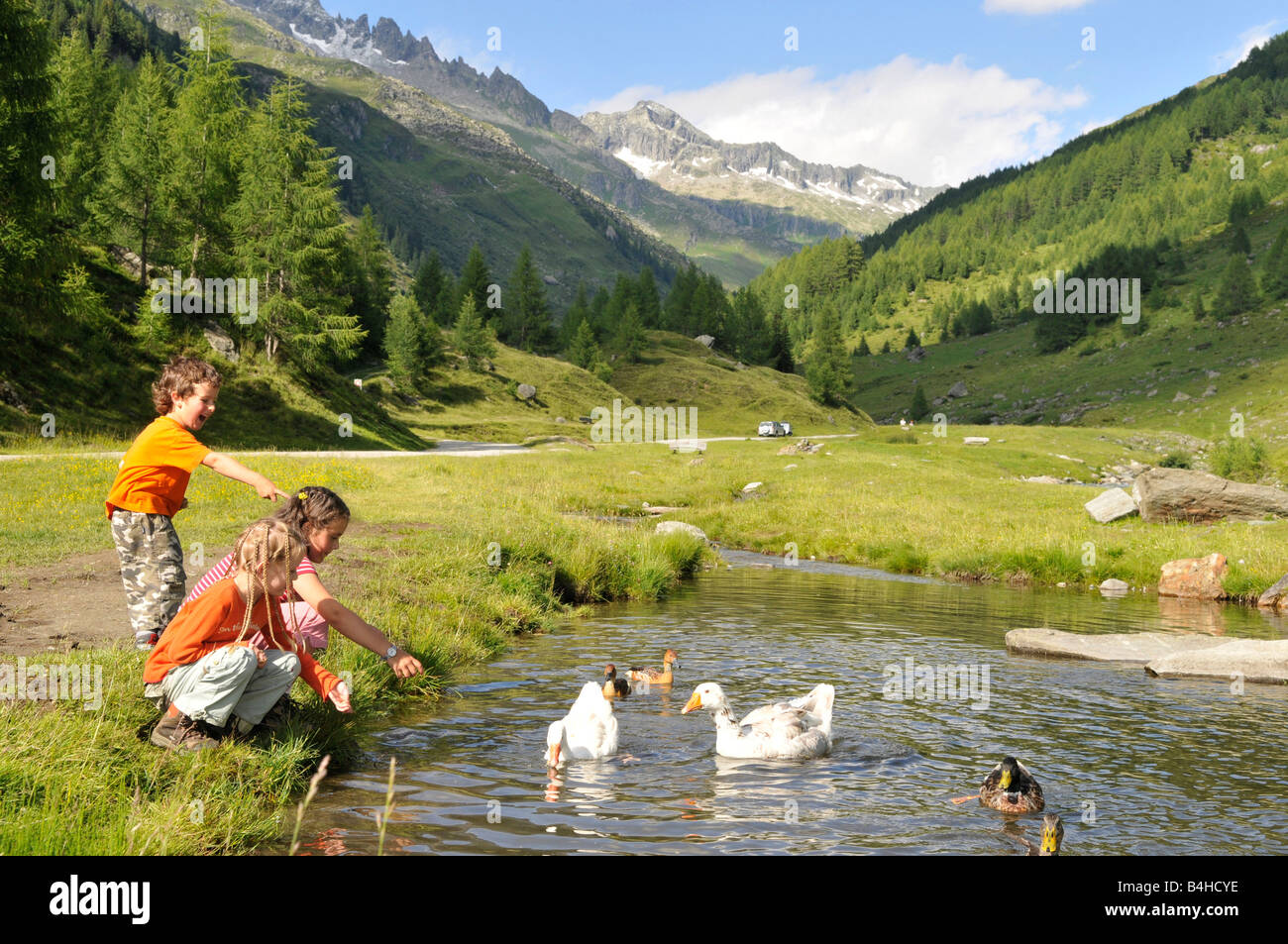 Drei Kinder spielen mit Schwäne im See Trentino-Südtirol Italien Stockfoto
