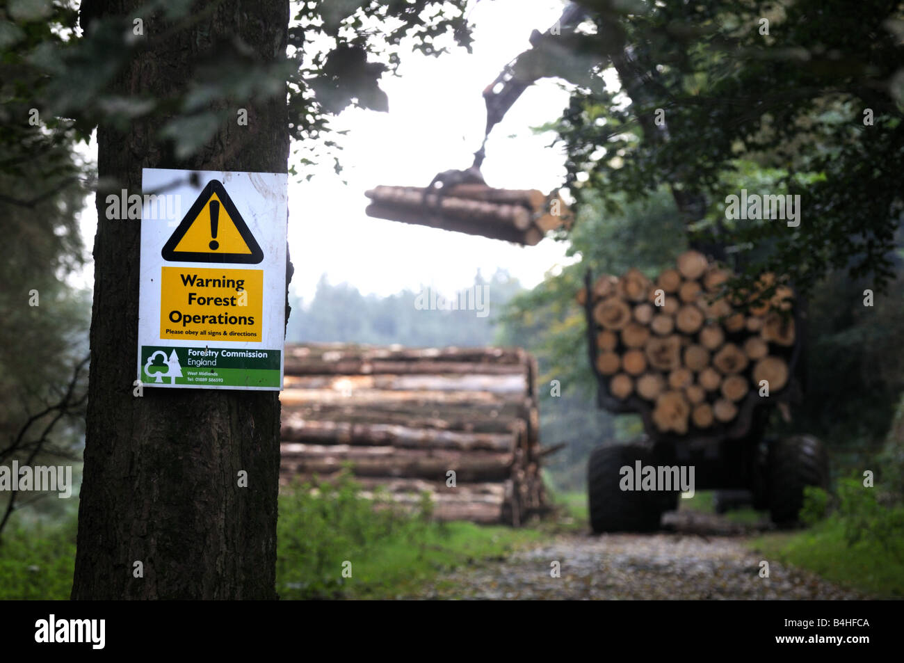 Forstwirtschaft in der Nähe von Bridgnorth, Shropshire, England Stockfoto