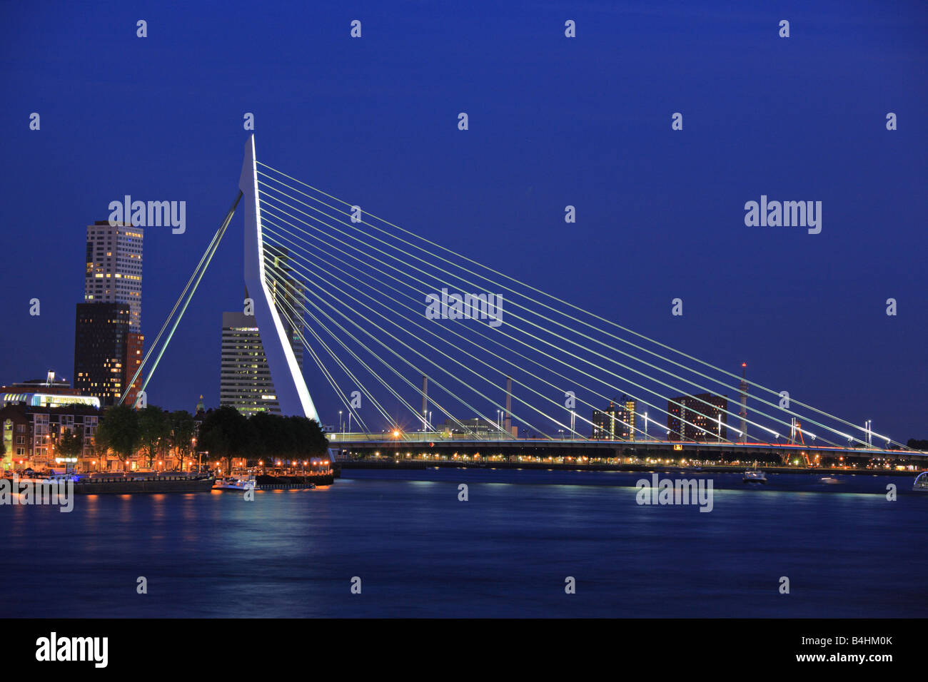 Erasmus-Brücke auf Maas, Rotterdam in der Nacht Stockfoto