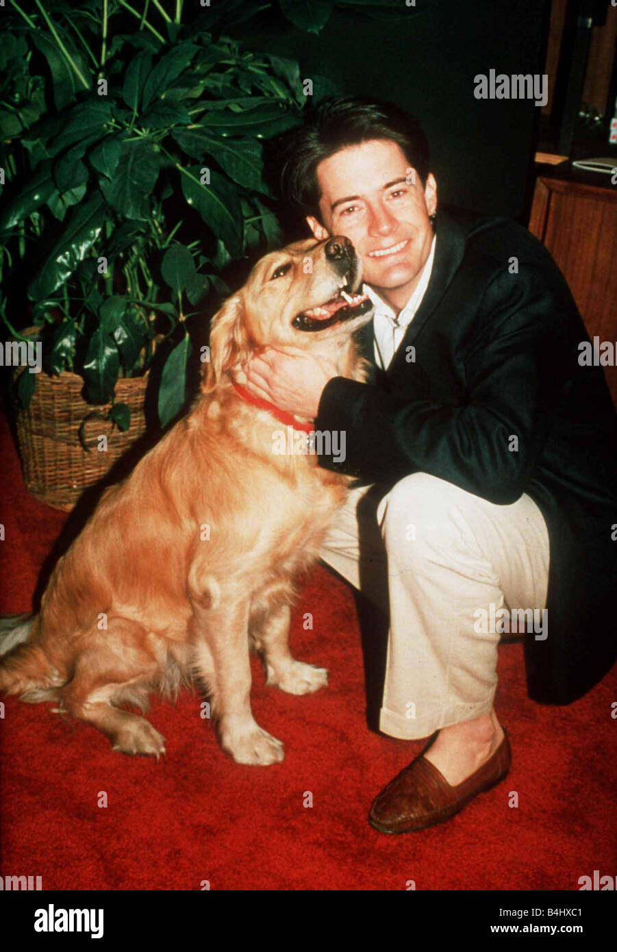 Kyle Maclachlan Schauspieler mit Golden Retriever Hund 1991 Stockfoto