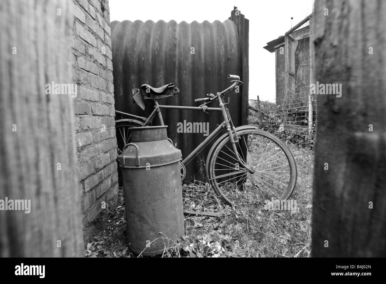 Altes Fahrrad & Milchkanne Stockfoto