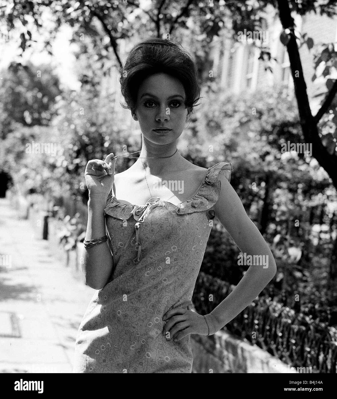 Francesca Annis Schauspielerin für die Hauptrolle in 1965 Passion Flower Hotel Stockfoto