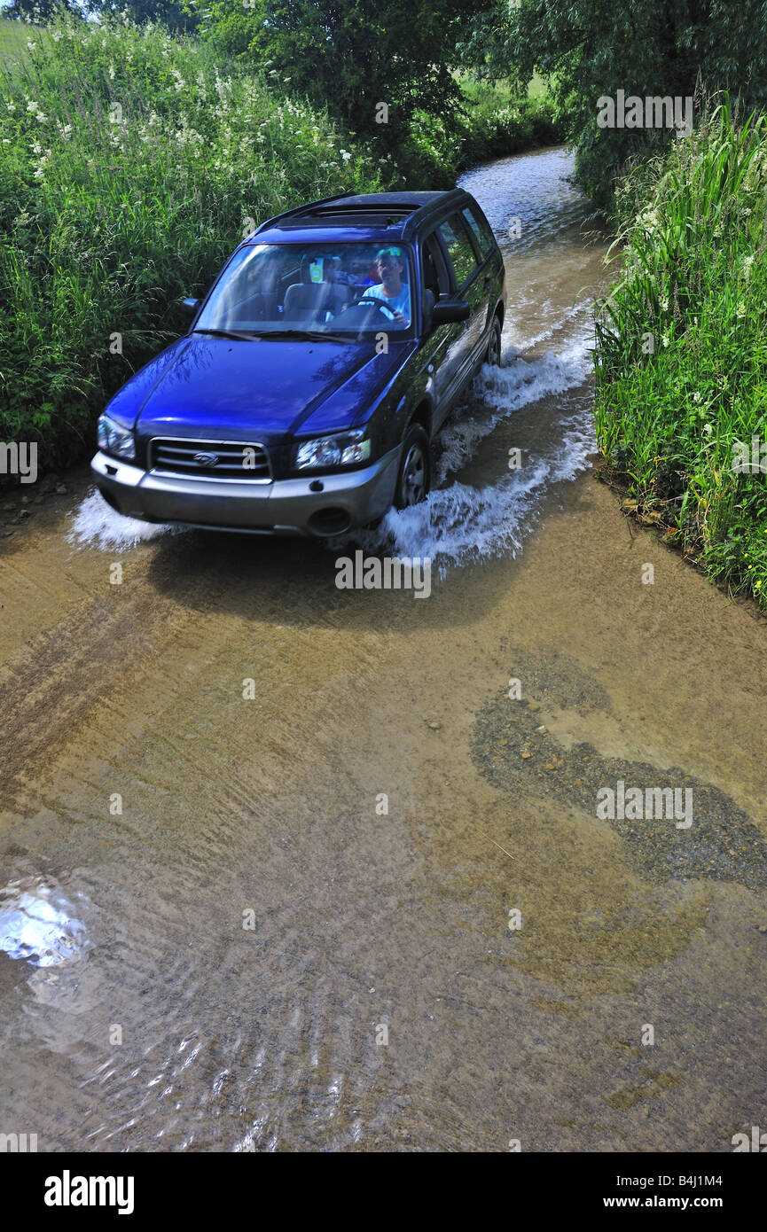 Den Stream Fording Stockfoto