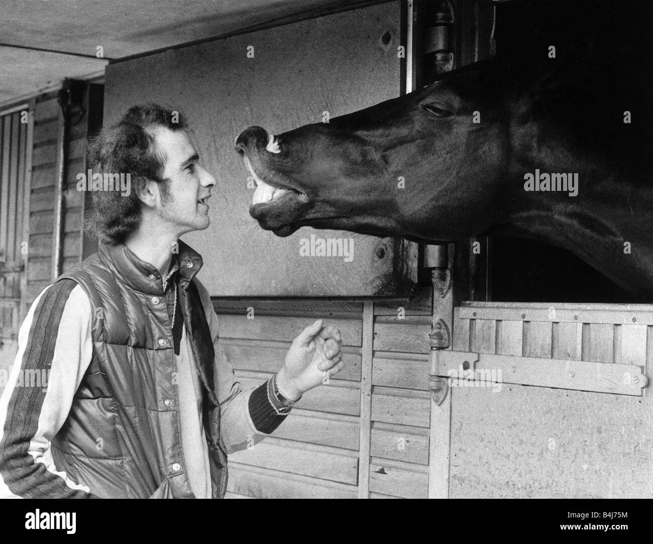 Tiere Pferde Rennpferd Black Minstrel wartet Kuss von stabilen Bursche Howard Thomas bei Duncan Sasses Lambourn in Berkshire Stockfoto