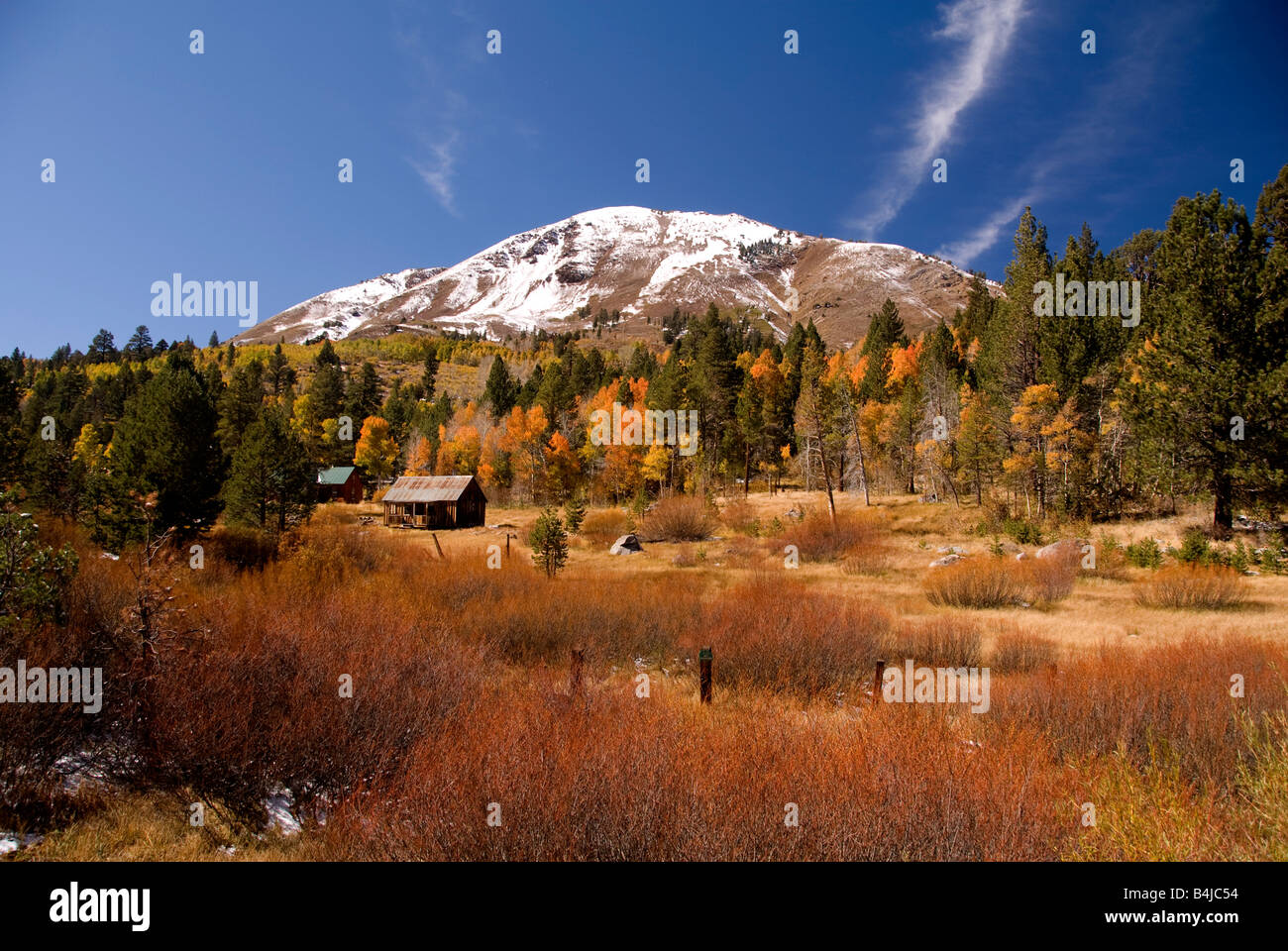 Kalifornien Herbstfarben entlang Highway 88 in der östlichen Sierra Bergkette gefunden Stockfoto