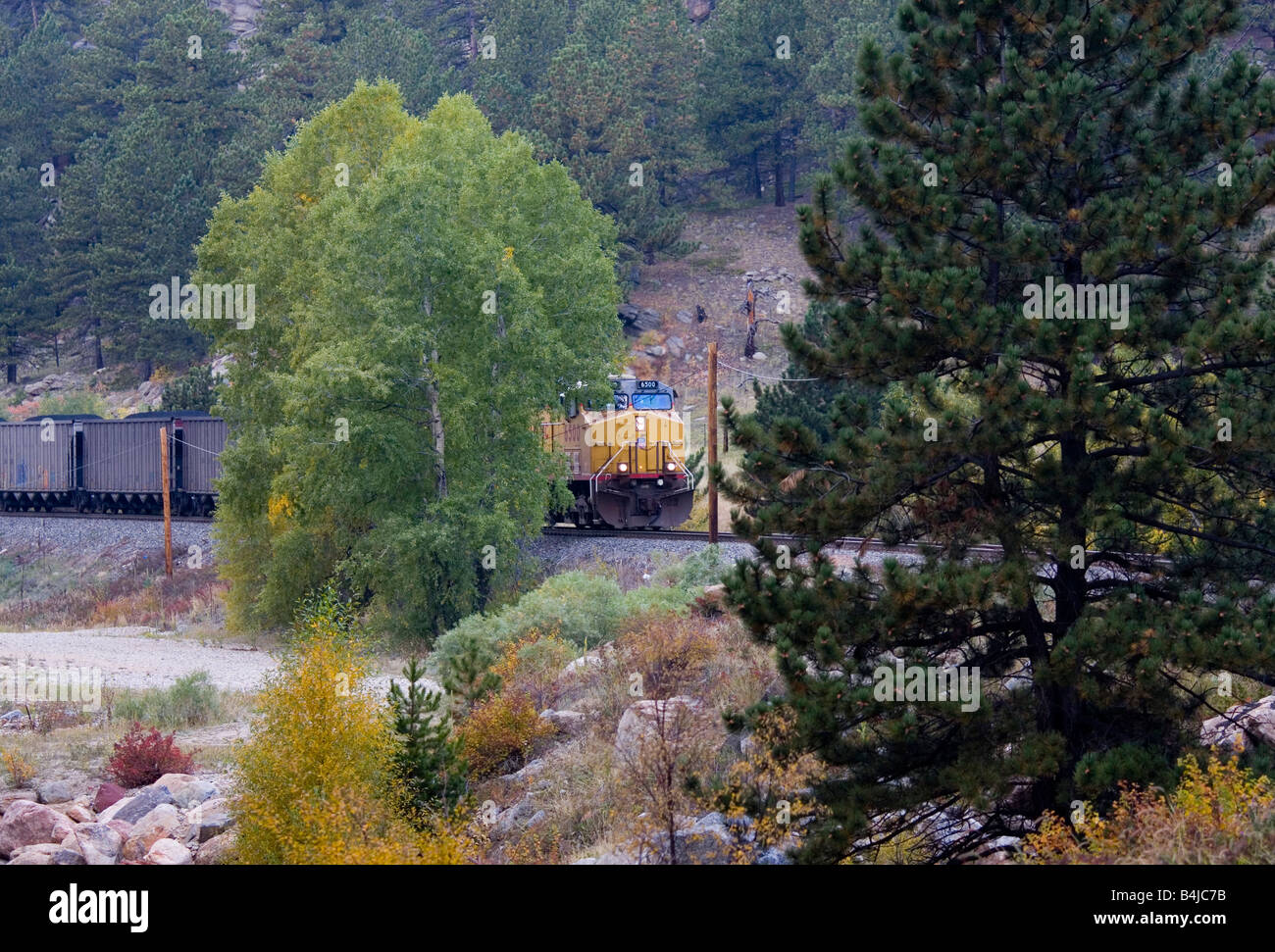 BNSF Güterzug rollt der Union Pacific Railroad Tracks in der Nähe von Pinecliff Colorado Stockfoto