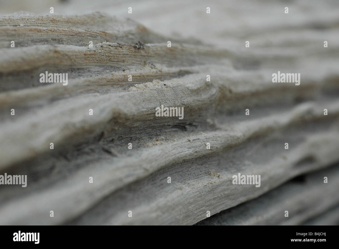 Holz Stockfoto