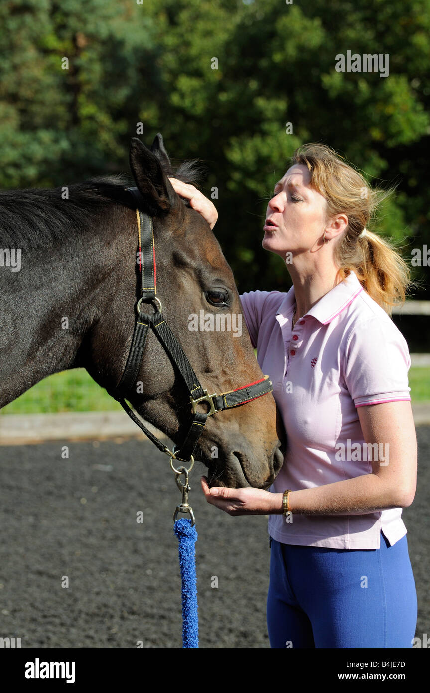Eine dunkle Bucht Wallach Pferd und Pferd Whisperer gesehen während einer Trainingseinheit England UK Stockfoto