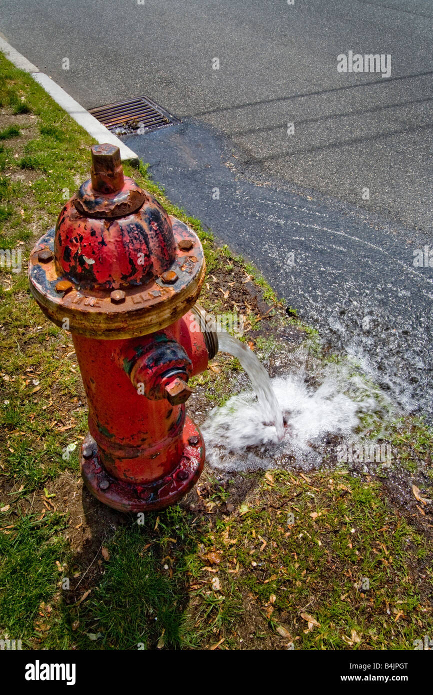 Von der Feuerwehr in Winchester MA Spülen Wasser gießt aus einem roten Hydranten im Frühjahr Stockfoto