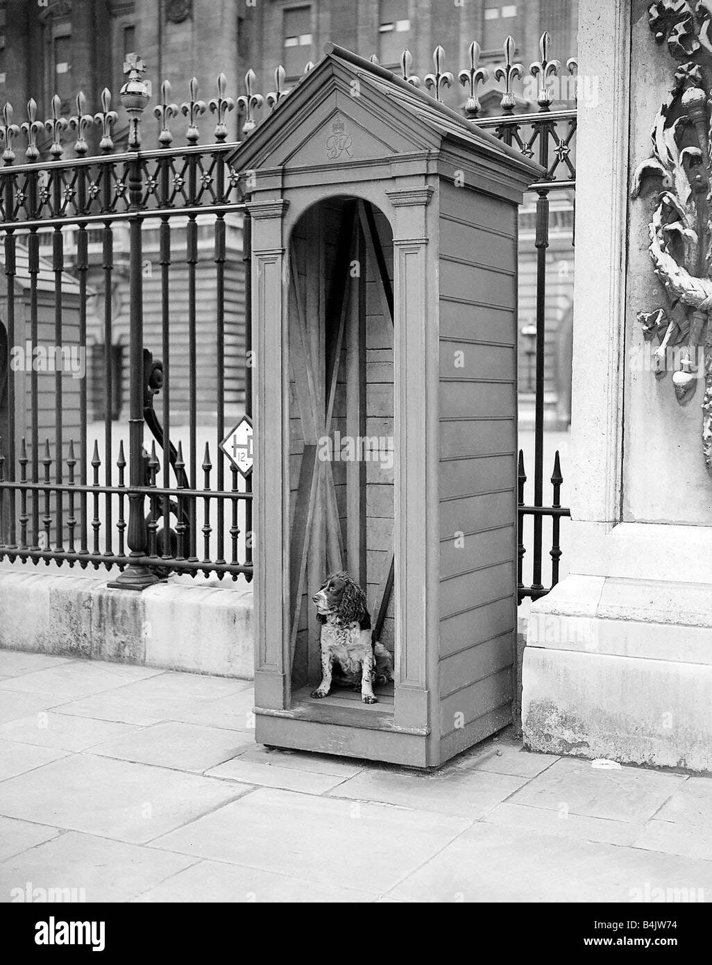 Hund im Wachhäuschen August 1941 außerhalb Buckingham Palace Stockfoto