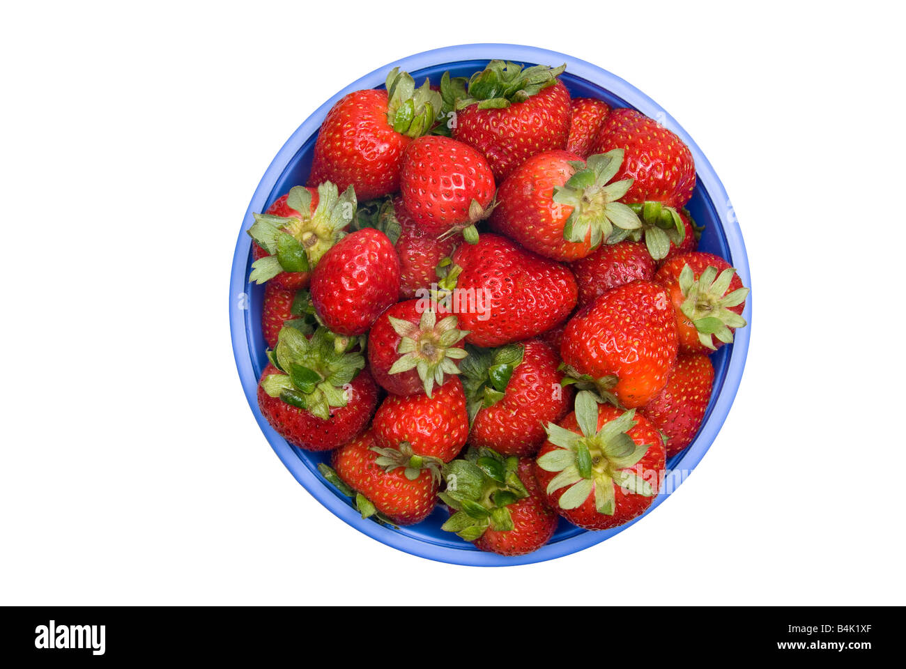 Eine Schale mit frischen Erdbeeren auf weißem Hintergrund isoliert Stockfoto