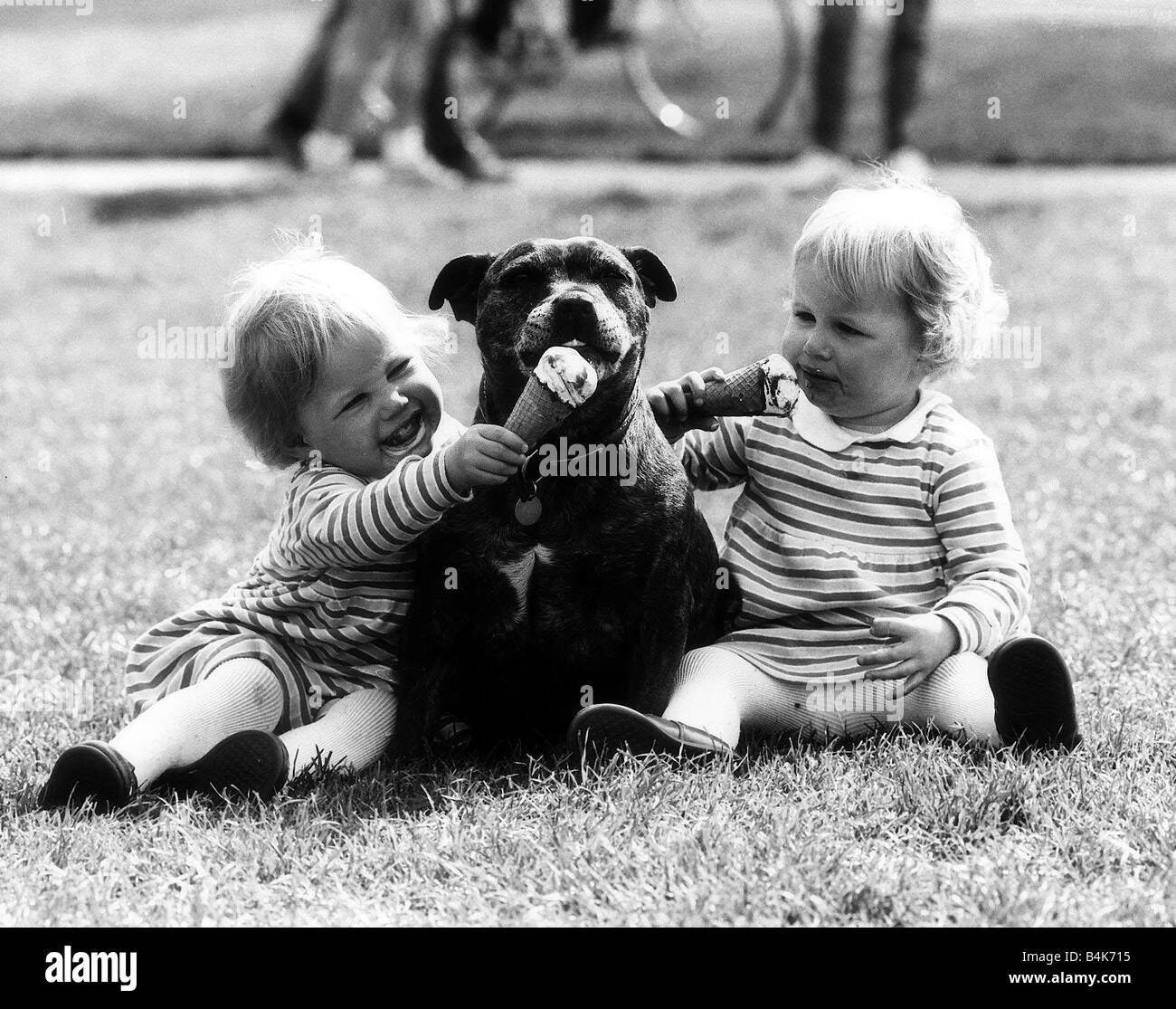 Kinder mit Tieren Frühling im Hyde Park Apr 1982 Zwillinge rosig und Lolly Dixon mit ihrem Haustier Bull Terrier Tante Lou Stockfoto