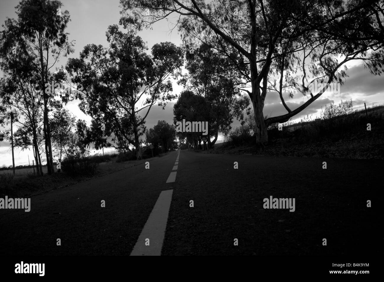 Kulturlandschaft, die von einer beweglichen Auto s/w gesehen Stockfoto