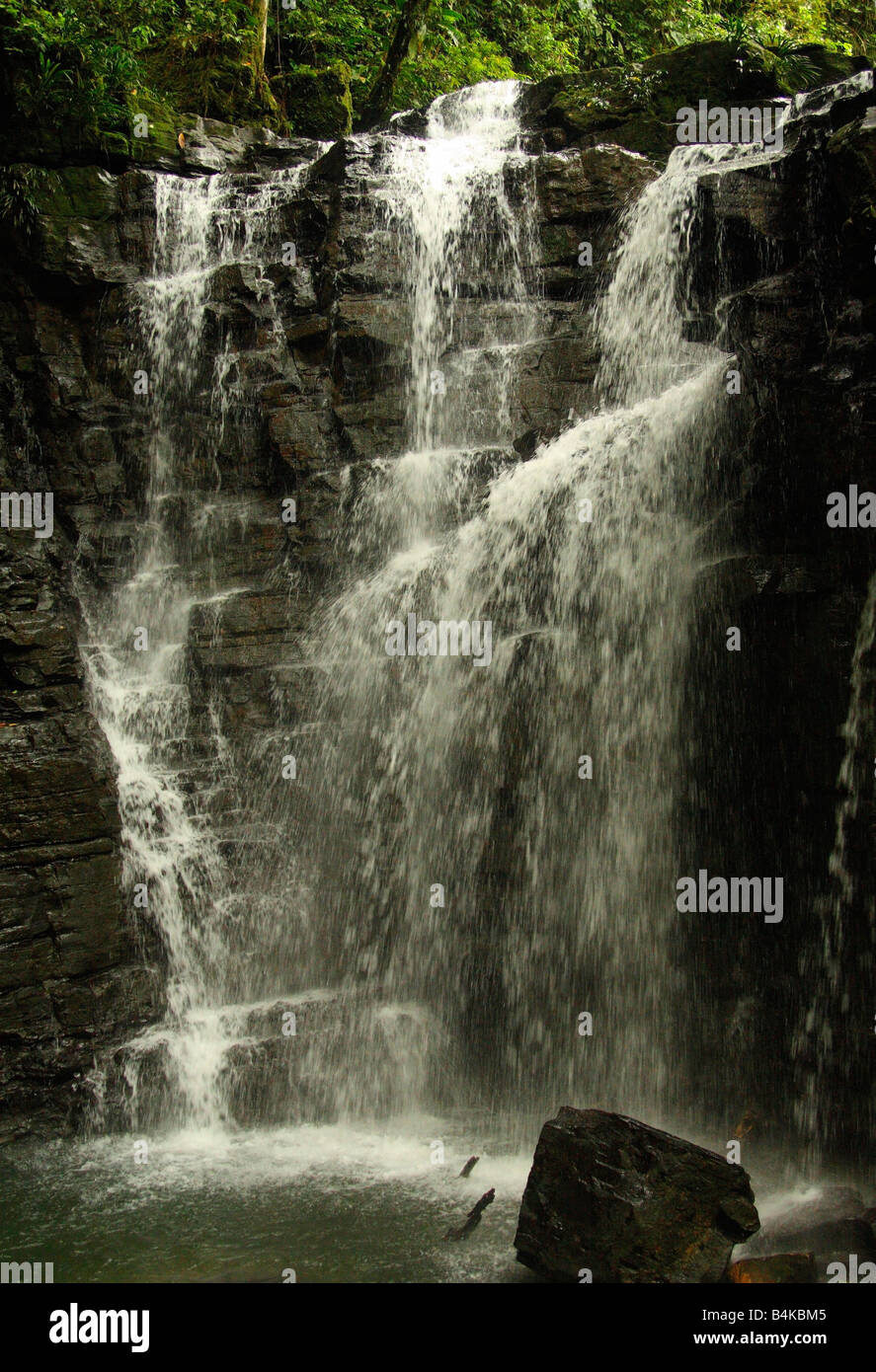 Wasserfall, Rio Latas, Amazonasbecken, Oriente, Ecuador Stockfoto