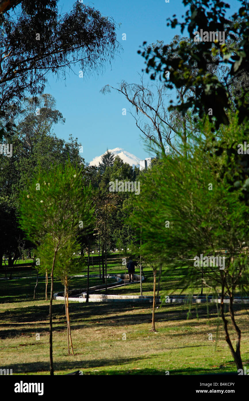 Blick auf botanische Gärten und Vulkan Cotopaxi, Quito, Ecuador Stockfoto