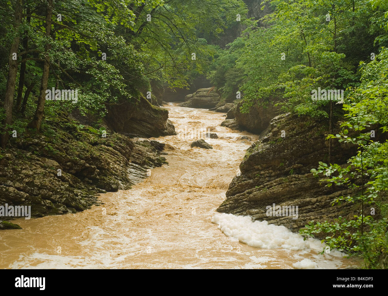 Bergbach bei starken Regenfällen. Stockfoto