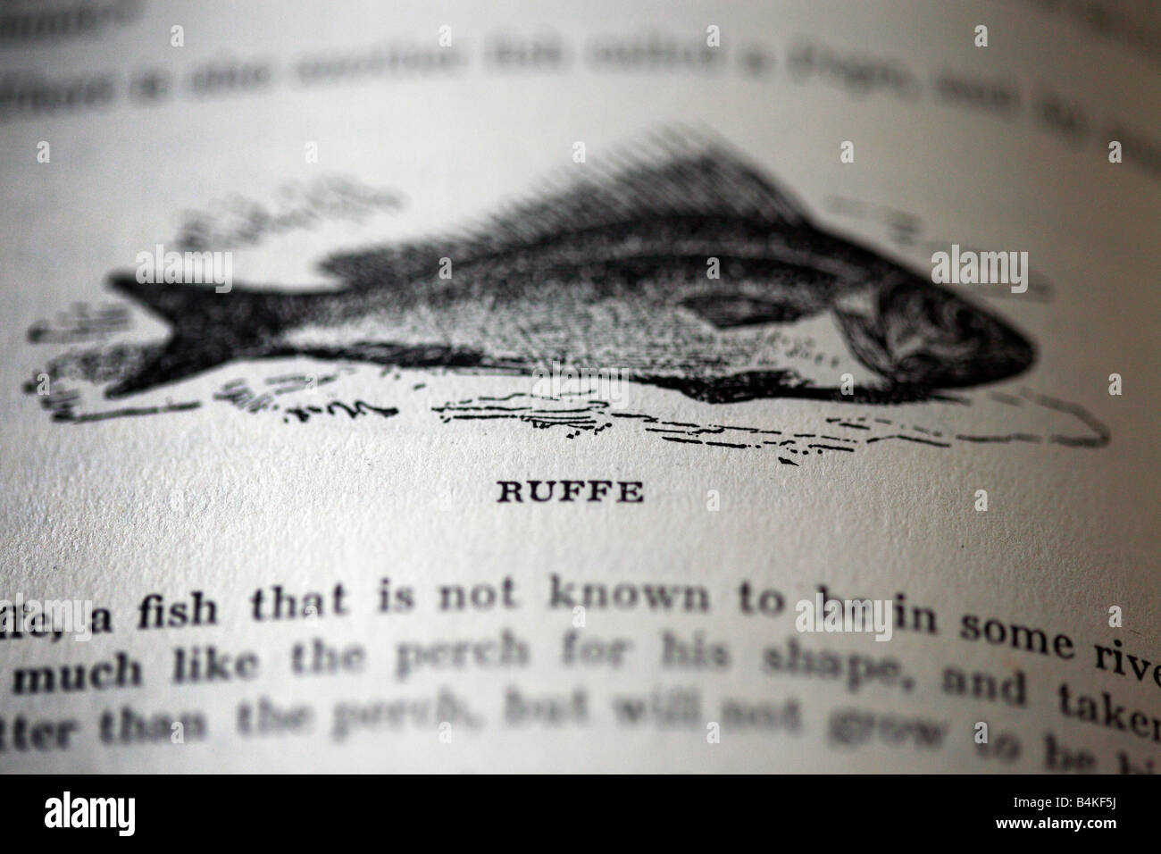 Monochromen Abbildungen aus einem Buch von Fischen durch Izaack Walton, "The Compeat Angler". Stockfoto