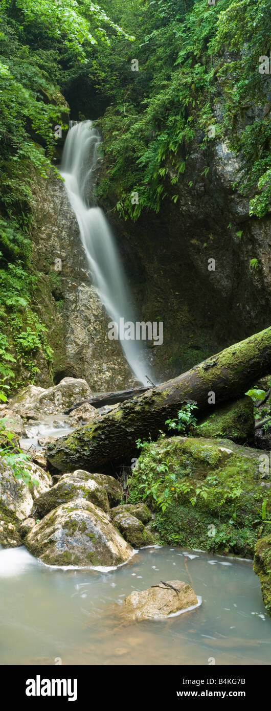 Wald-Wasserfall. Stockfoto