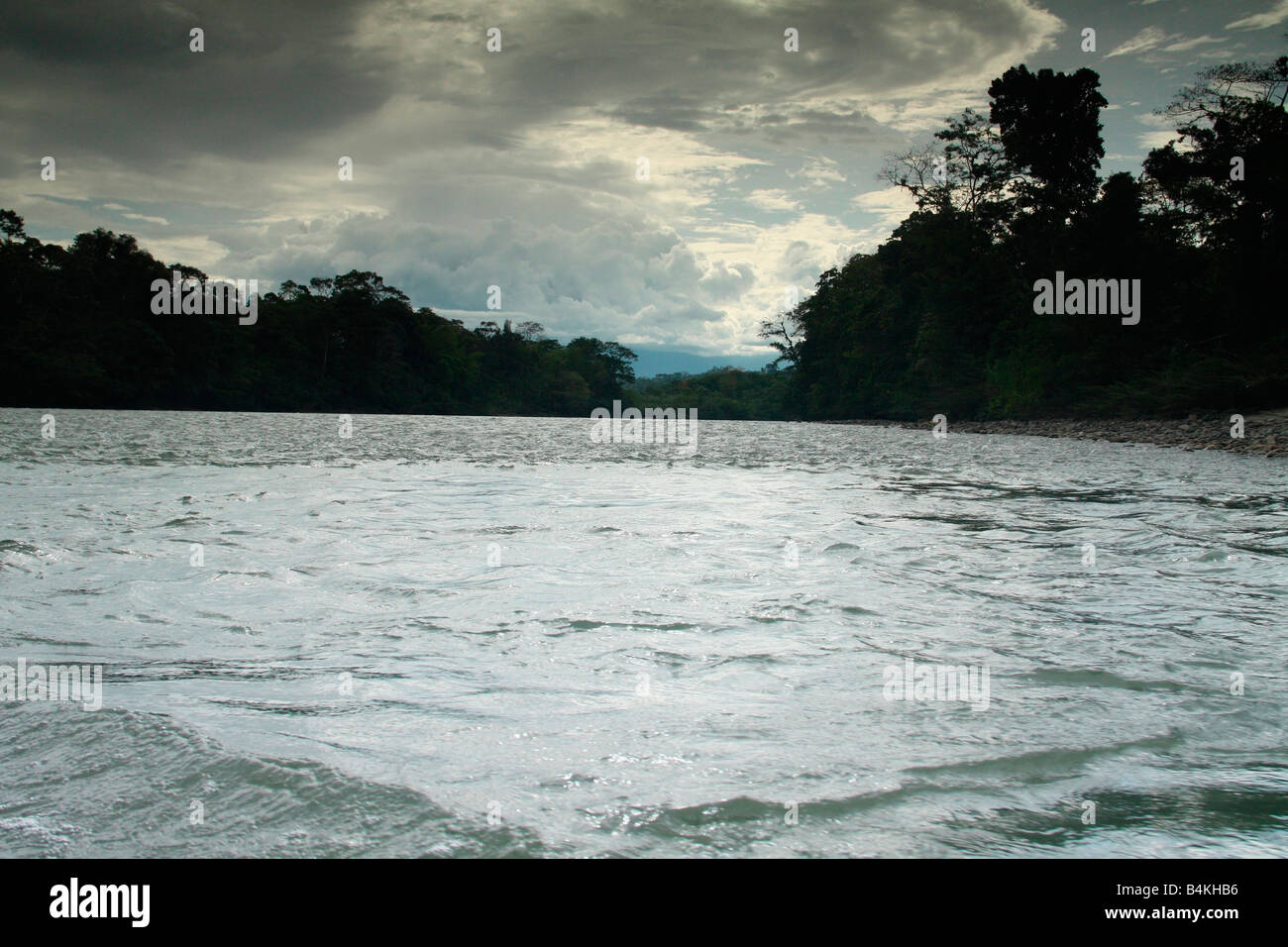 Auf dem Rio Napo (Nebenfluss des Amazonas) Amazonas-Becken, Oriente, Ecuador Stockfoto
