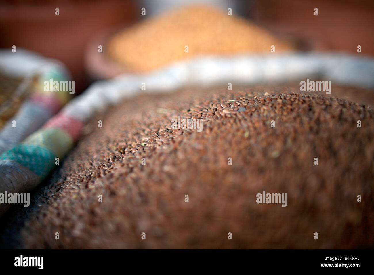 Tef ethiopia Fotos und Bildmaterial in hoher Auflösung Seite 2 Alamy