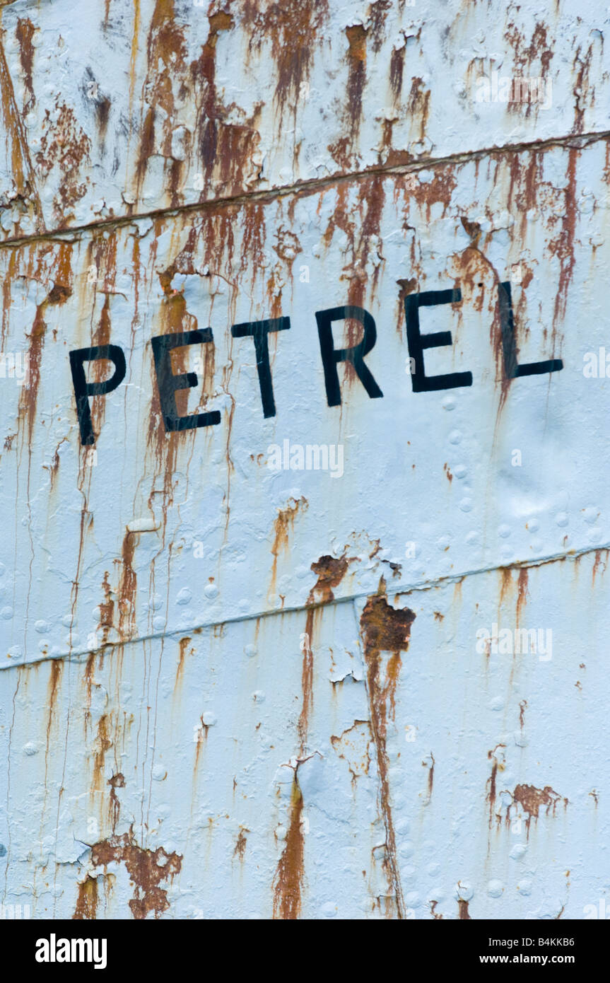 Grytviken, Südgeorgien Whaling Schiff Petrel, im alten Hafen Stockfoto