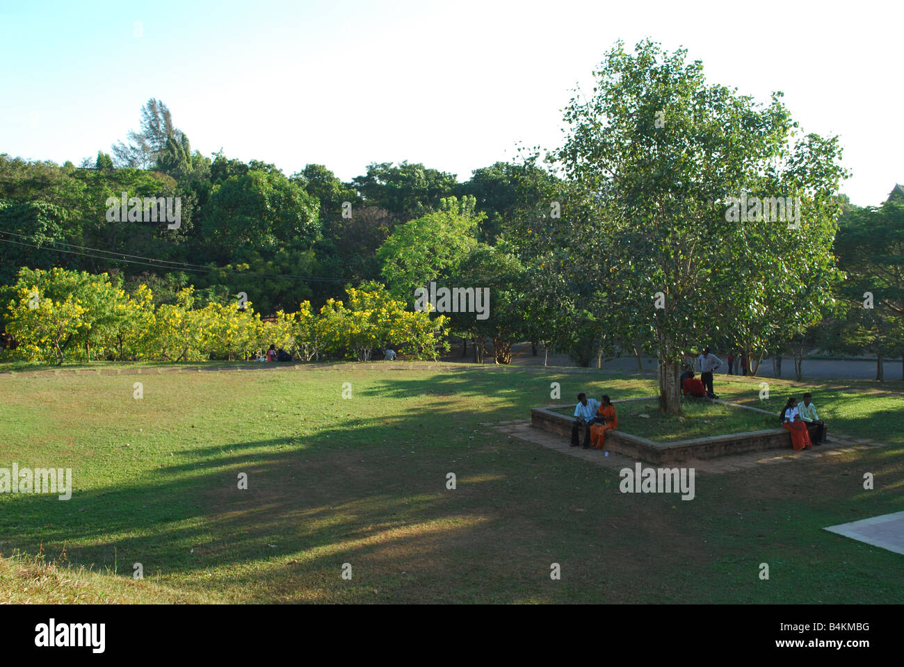 Garten im Abendlicht Stockfoto