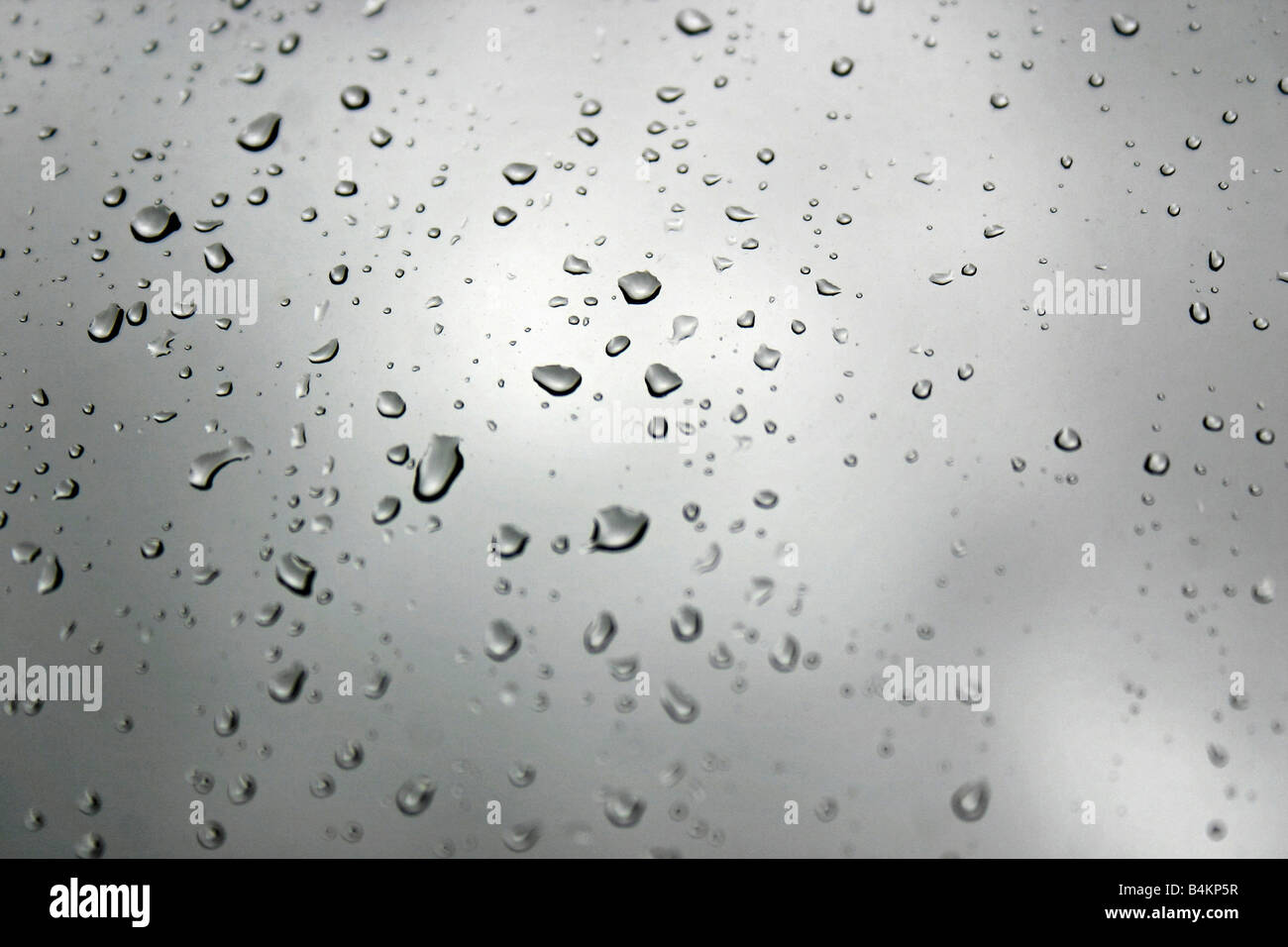 Nahaufnahme von Wassertropfen auf Fenster Stockfoto