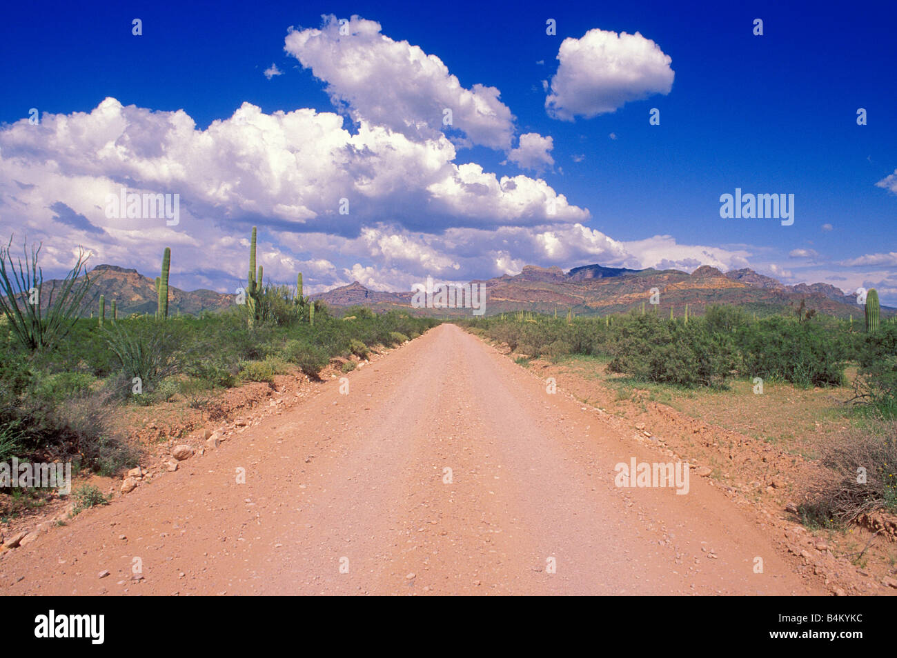 Cumulus-Wolken über unbefestigte Straße im Puerto Blanco Berge Organ Pipe Cactus National Monument Arizona Stockfoto